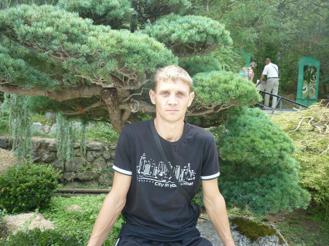  --,   , 40 ,   