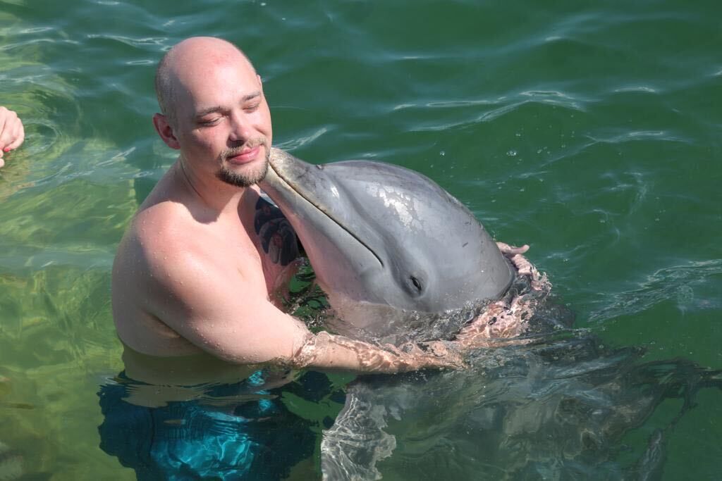 ���������� ���������, ���� ������� ���������, 33 ����, ������������ ��� ������, ����� � ���������, c�������� ���������