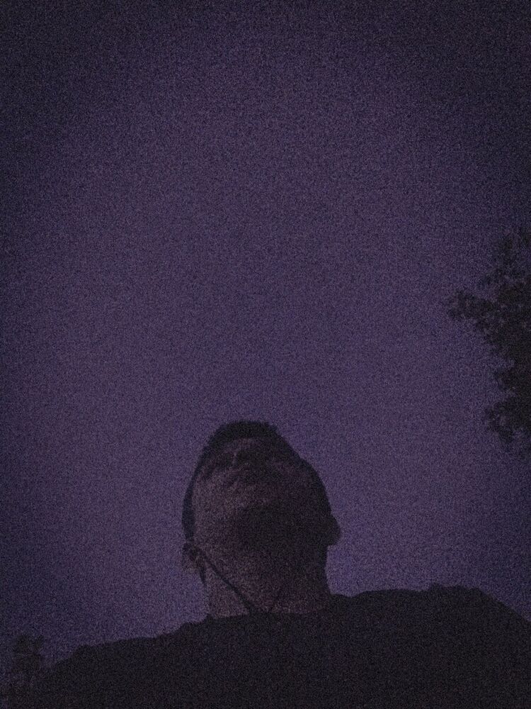 21938644  , 24 ,    