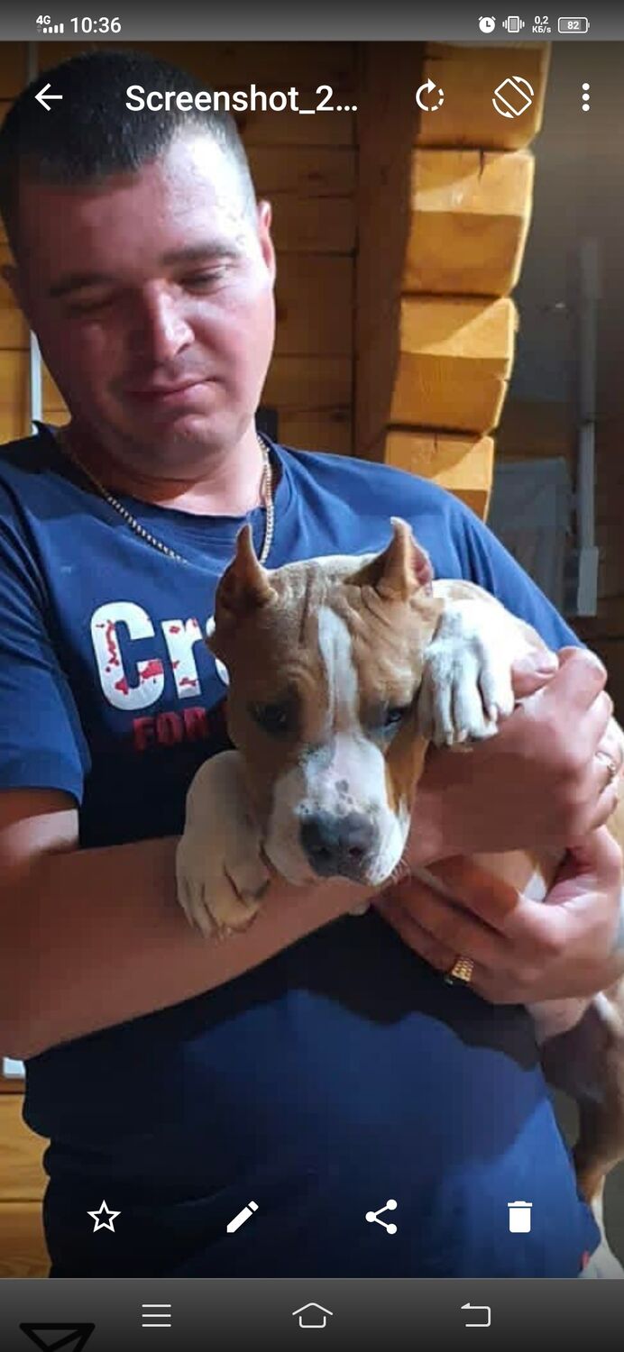 ���� 26649164 ������� �������, 37 ���, ���� ���������� � ������������-��-�����