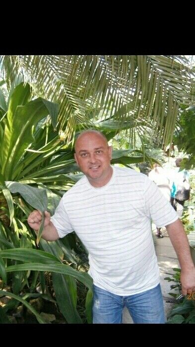 ���� 22440984 ������� ��������, 44 ����, ���� ���������� � �������