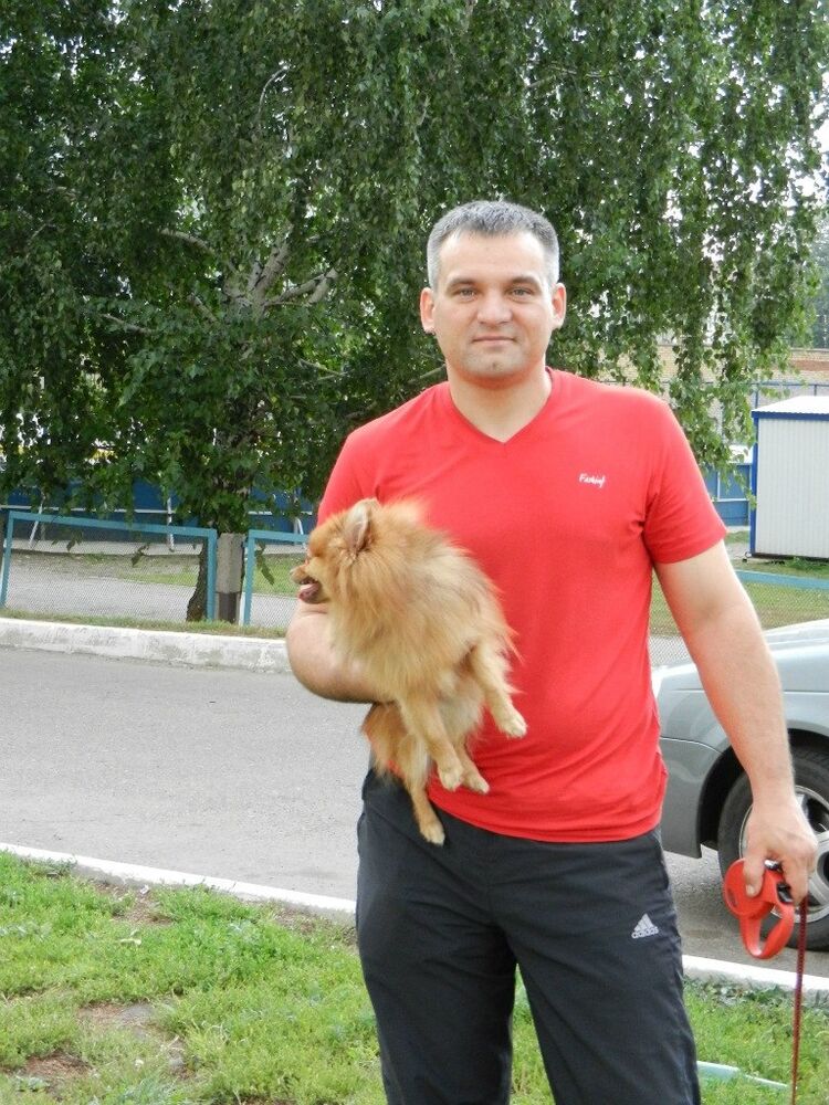 ���� 22737204 ������� ���������, 51 ���, ���� ���������� � ���������� ������