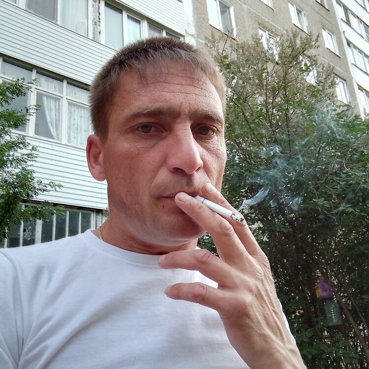  39281464  , 40 ,    
