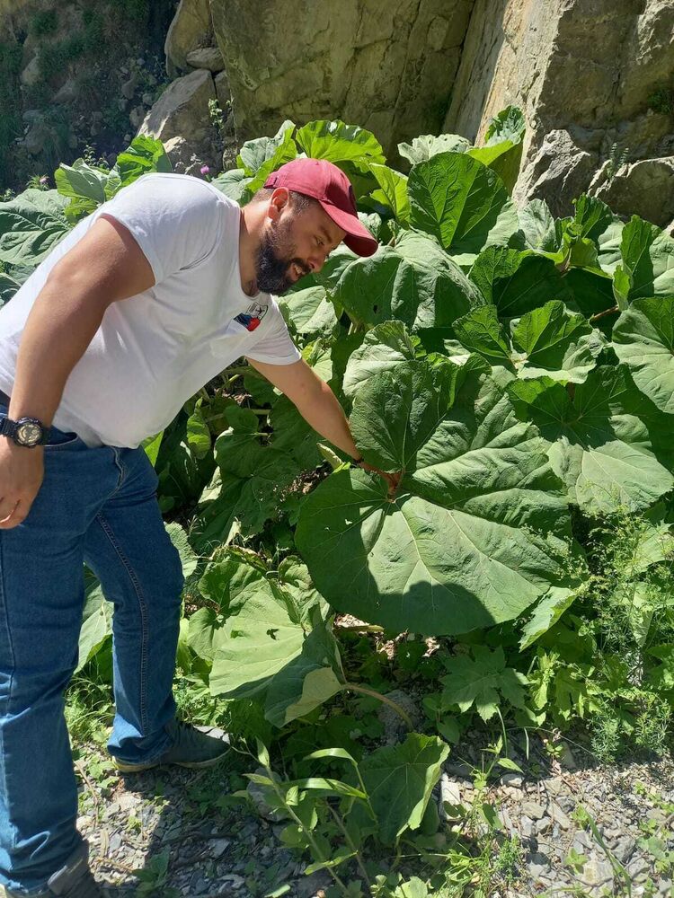 ���� 36570324 ������� ����, 39 ���, ���� ���������� � ������