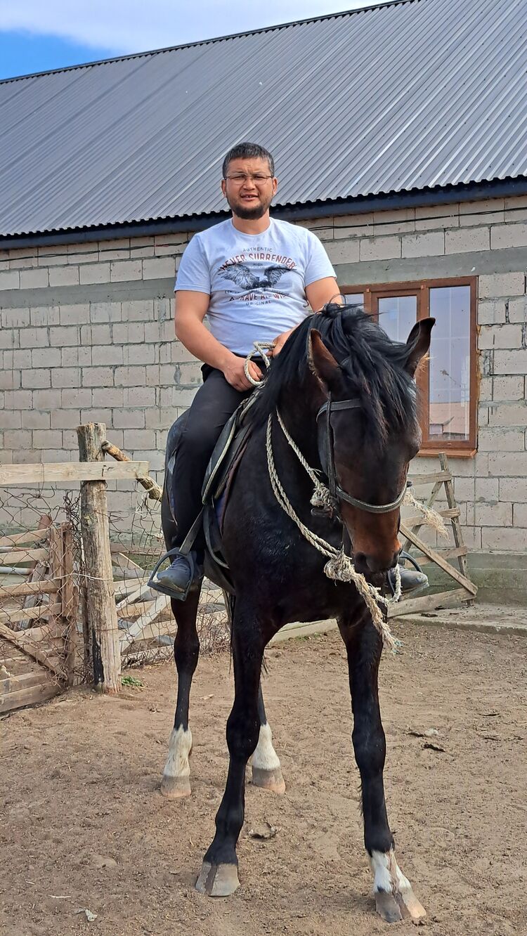 ���� 43385744 ������� Rash, 38 ���, ���� ���������� � ����������