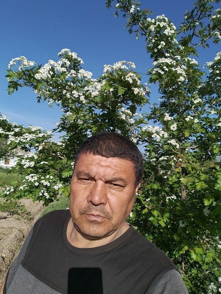  ,   Kxashimov, 62 ,   ,   