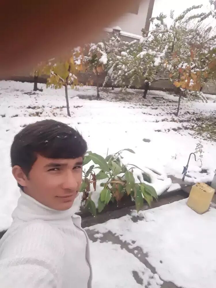  22938754  , 28 ,    