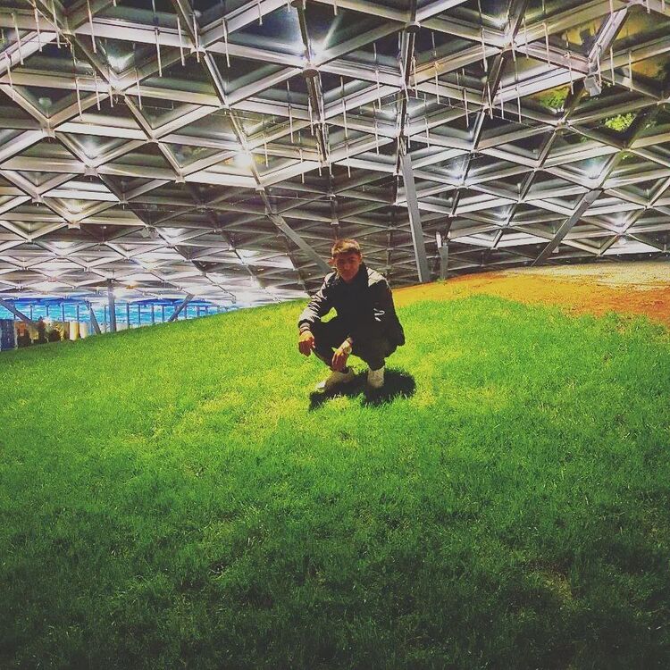 ���� 35353914 ����� �������, 24 ����, ���� ���������� � ������