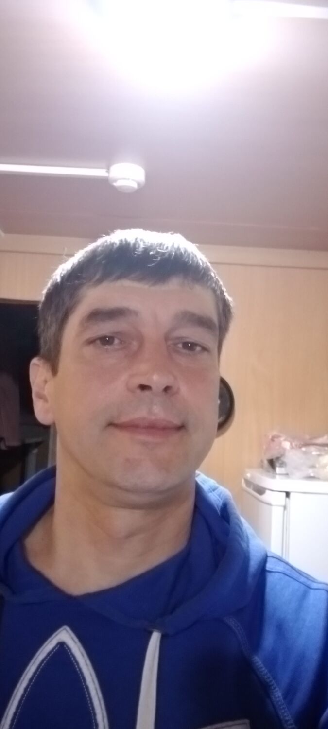  39650074  , 43 ,    