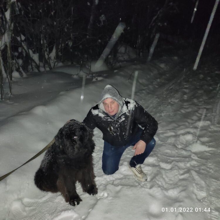 ���������� �����, ���� ������� ������ ����, 40 ���, ������������ ��� ������, ����� � ���������, c�������� ���������, ���������