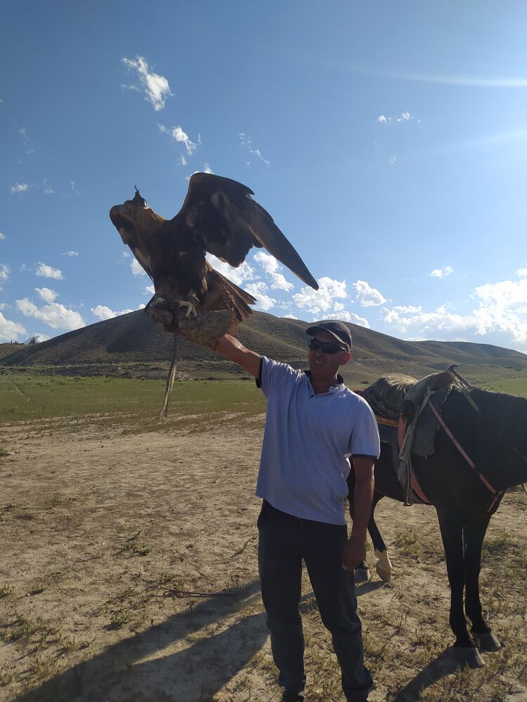  48359904  , 45 ,    