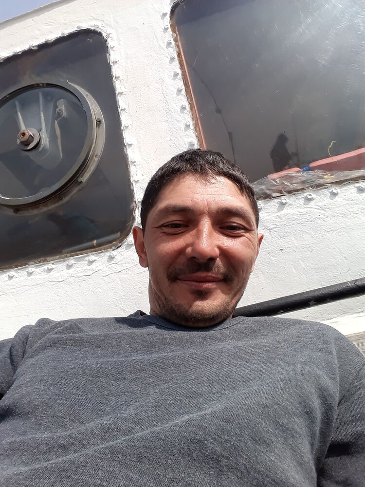  33034054  , 43 ,    
