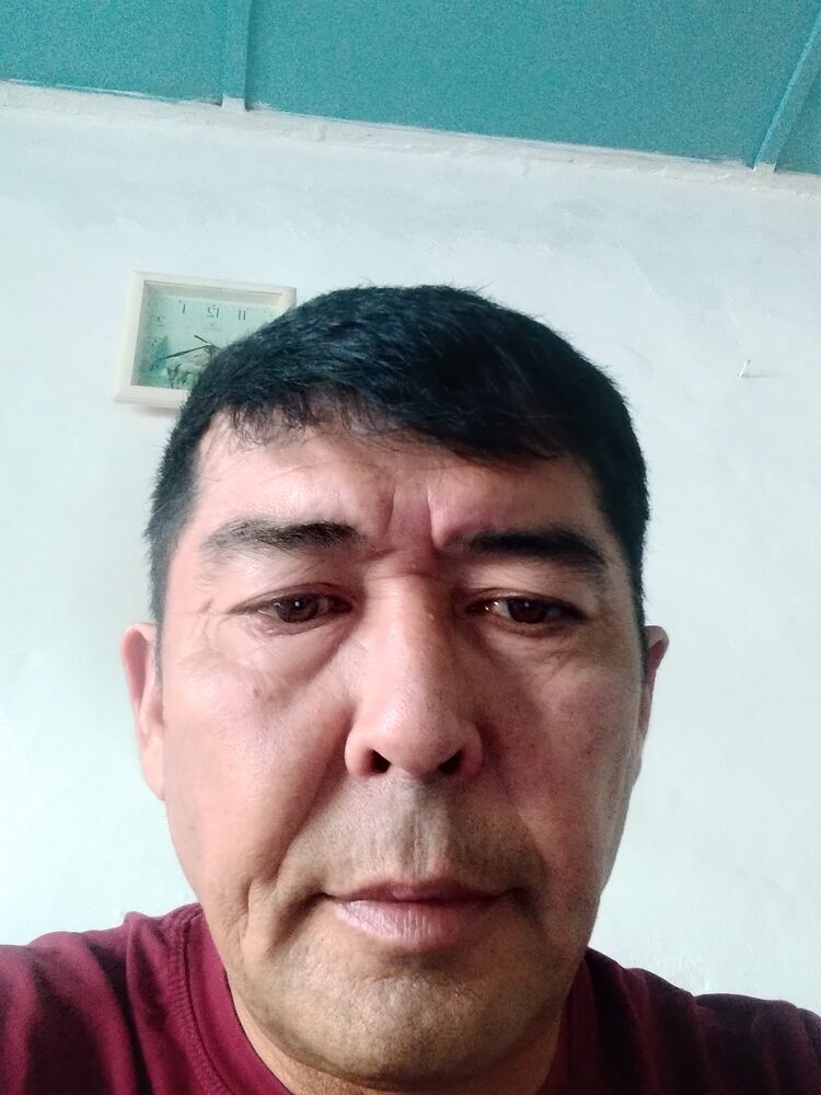  24026414  , 52 ,    