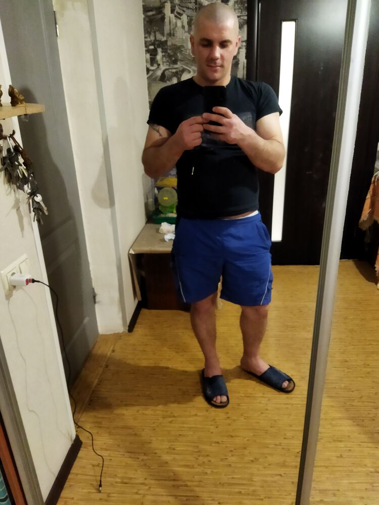  46331184  , 33 ,    