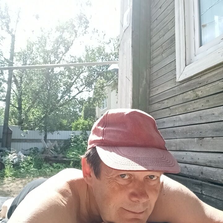  43569054  , 59 ,    