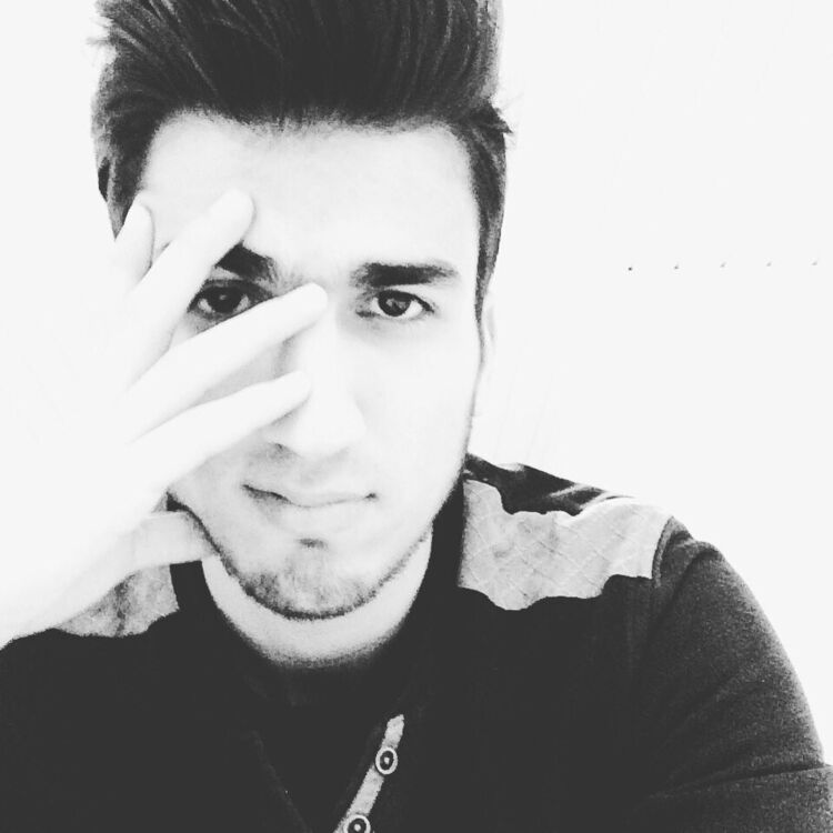  8798564  , 33 ,    