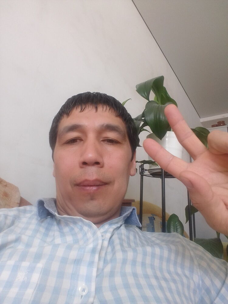  12940734  , 46 ,    