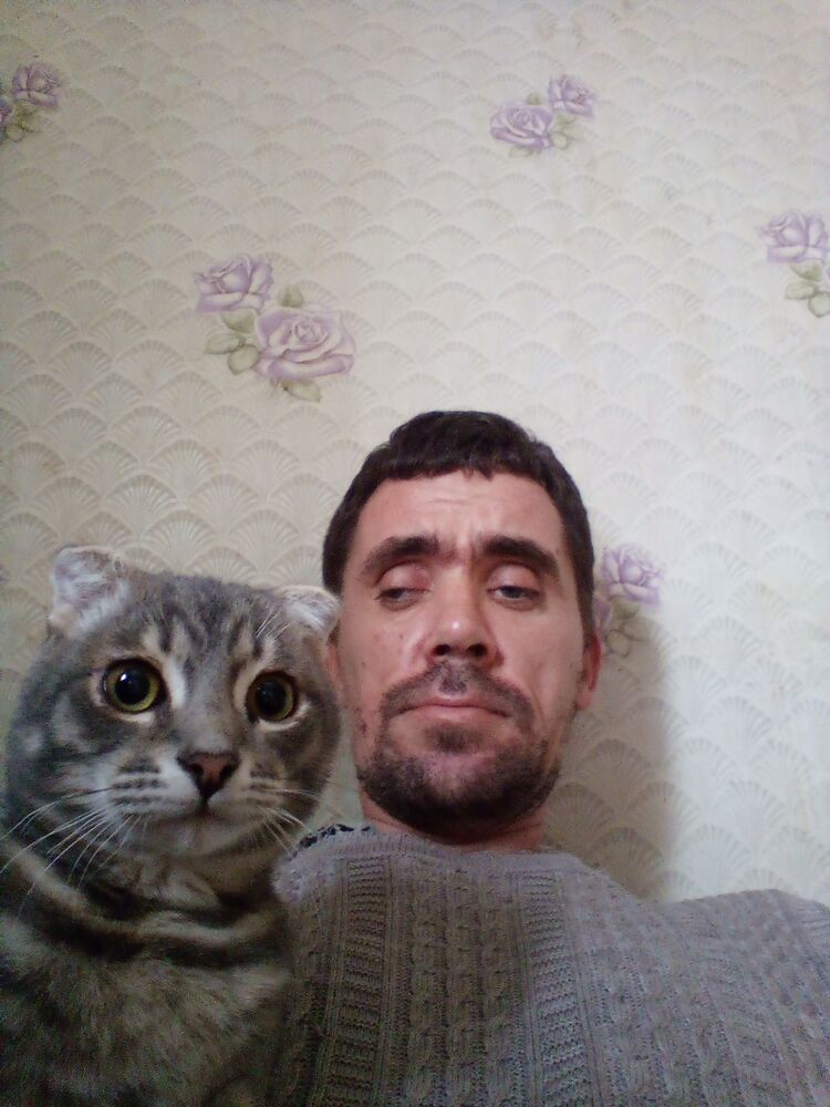 ���������� ���������, ���� ������� ���������, 39 ���, ������������ ��� ����� � ���������, c�������� ���������, ���������