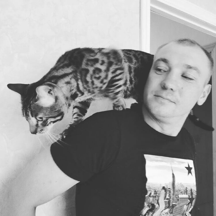 ���� 32448574 ������� �������, 38 ���, ���� ���������� � �������