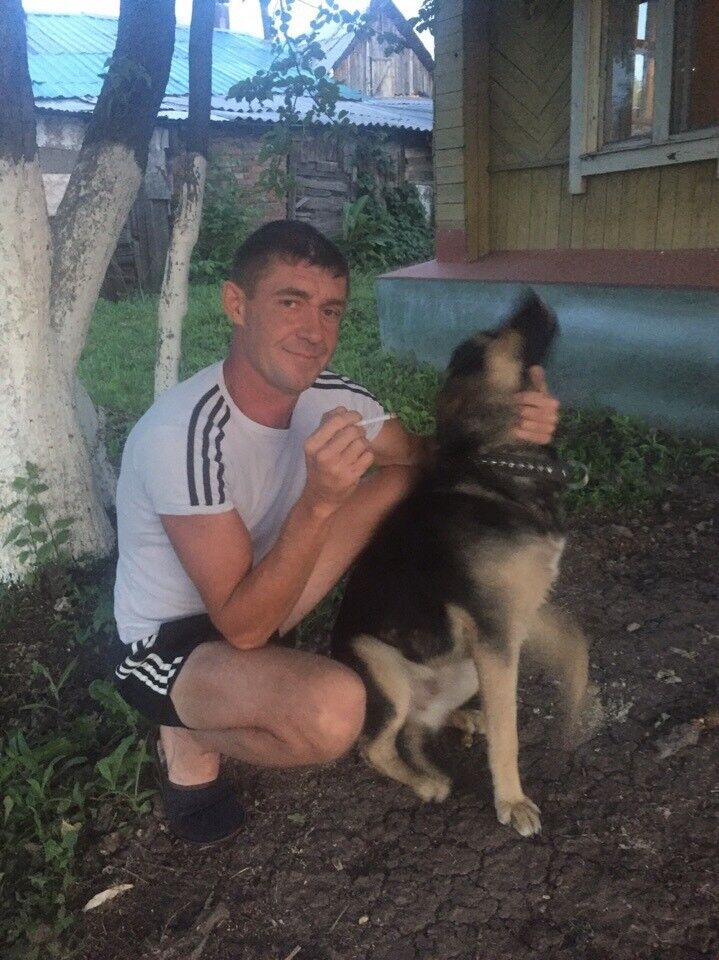 ���� 16386844 ������� ������, 48 ���, ���� ���������� � ������