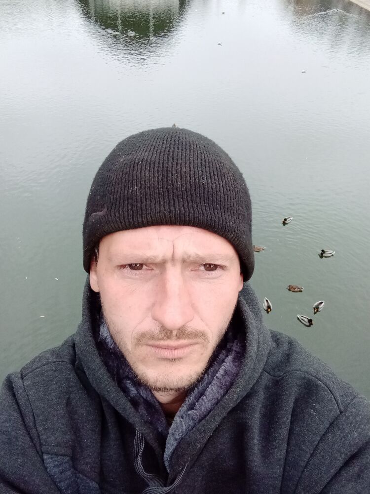 24803564  , 37 ,    