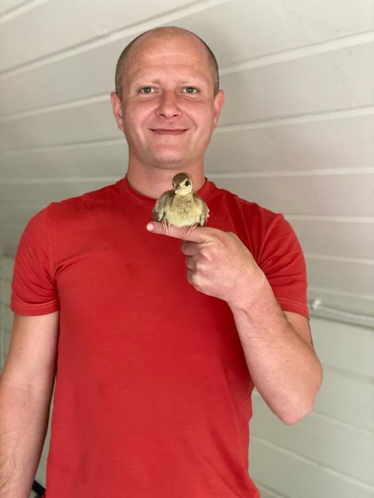 ���� 42721474 ������� �������, 39 ���, ���� ���������� � ����������