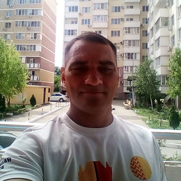  38339314  , 43 ,    