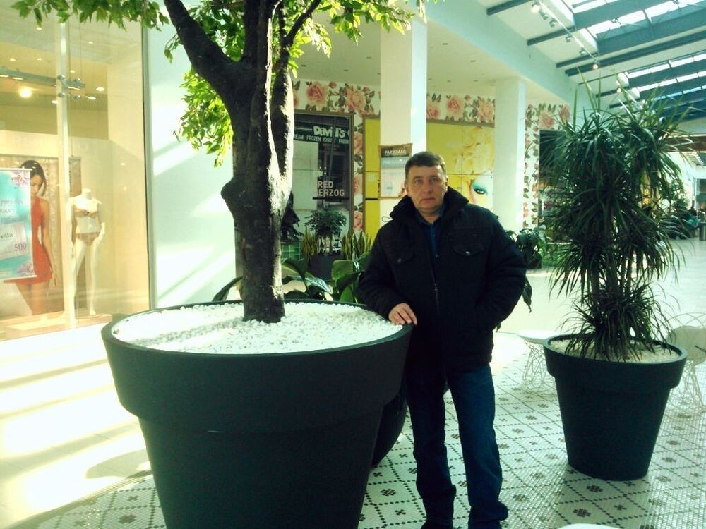  ,   , 55 ,  