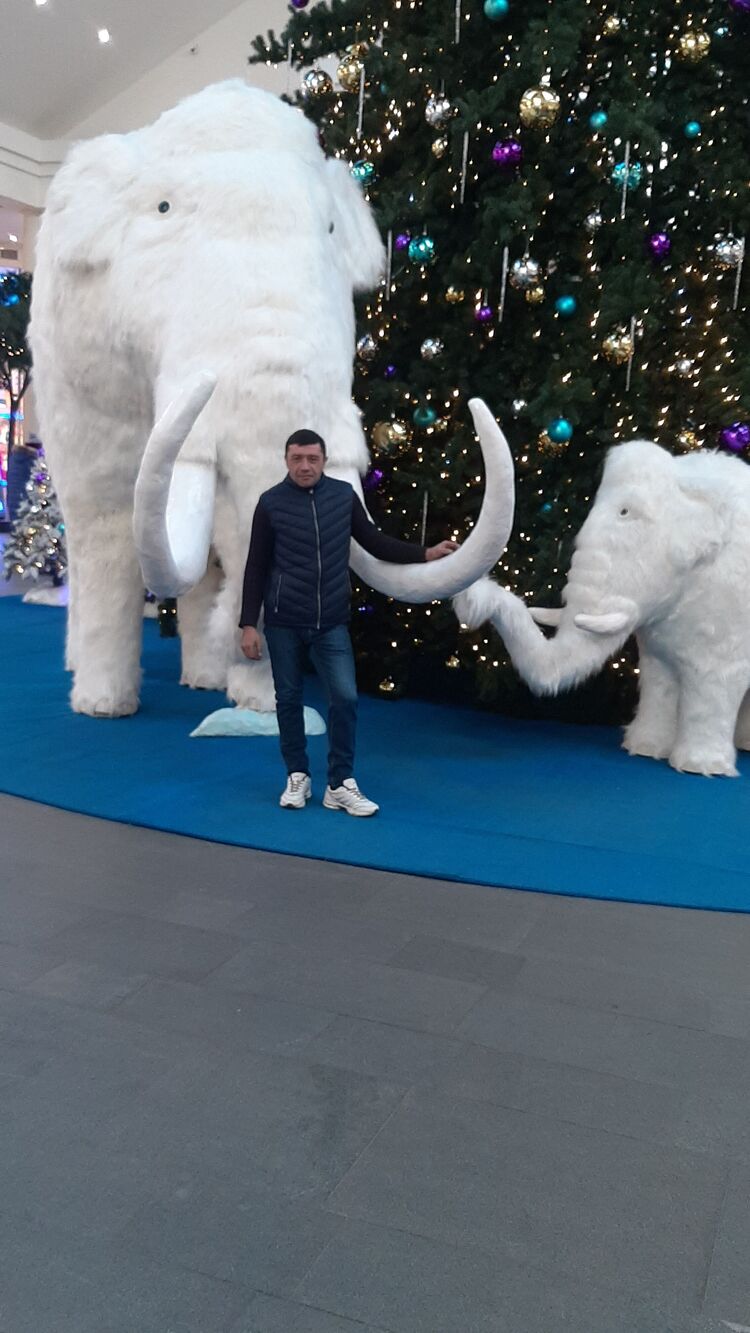  34826554  , 41 ,    