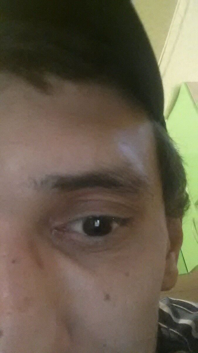 ���������� ������������, ���� ������� ��������, 47 ���, ������������ ��� ������