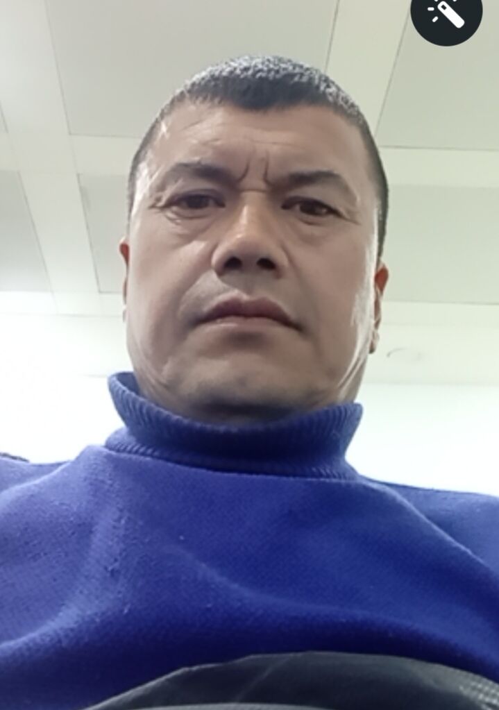  50145024  , 44 ,    -