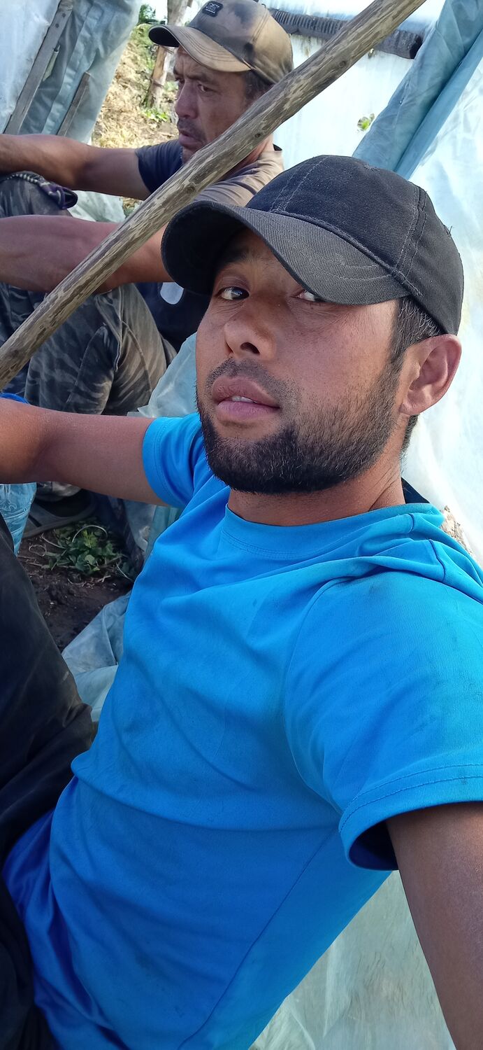  23664534  , 35 ,    