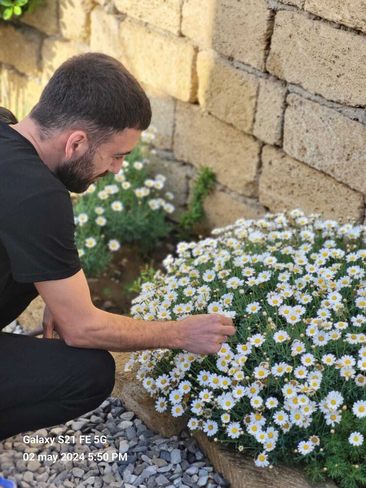 ���� 43140944 ������� NATIK, 37 ���, ���� ���������� � ����