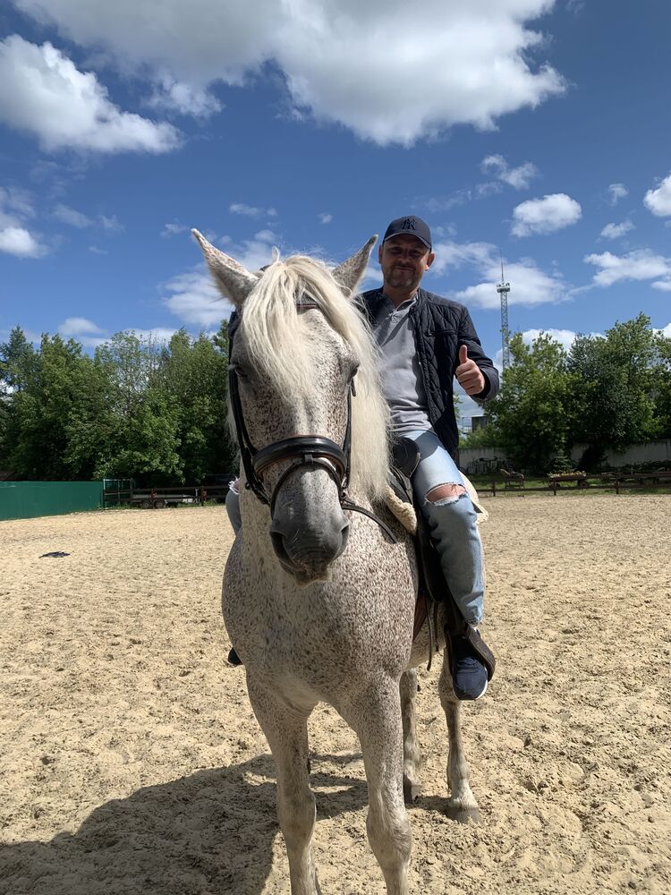 ���� 55562464 ������� �������, 42 ����, ���� ���������� � ���������