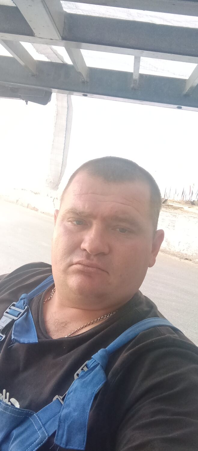  44520794  , 31 ,    