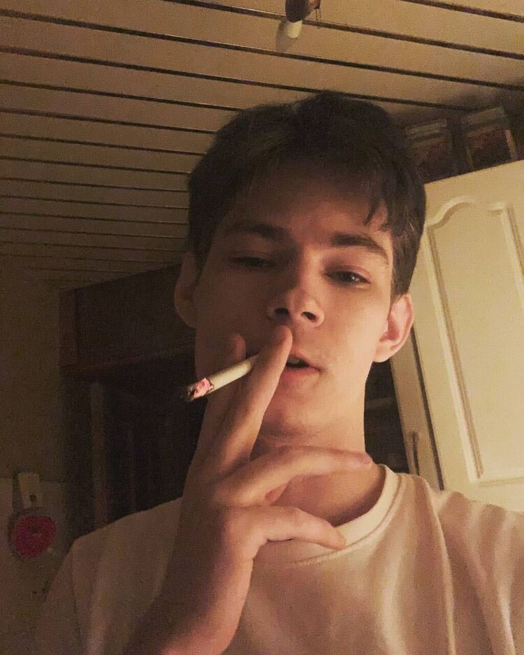 ���� 42540504 ����� �������, 24 ����, ���� ���������� � �������