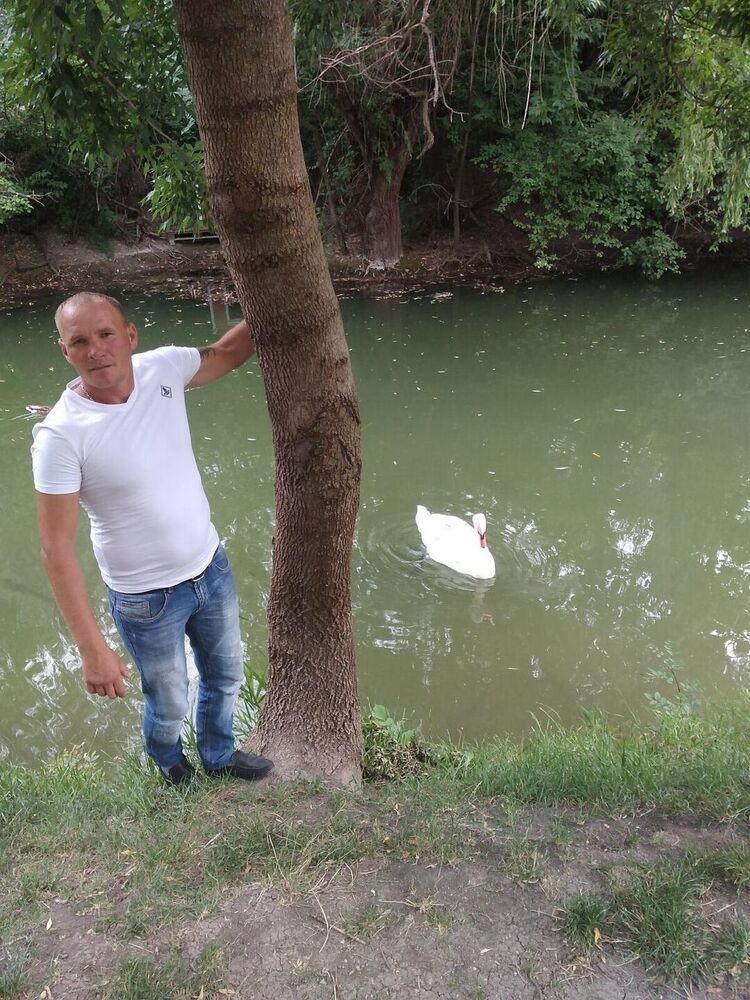 ���� 24079394 ������� ������, 38 ���, ���� ���������� � �����������