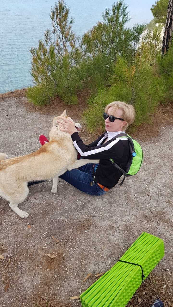 ���������� ���������, ���� ������� �������, 52 ����, ������������ ��� c�������� ���������