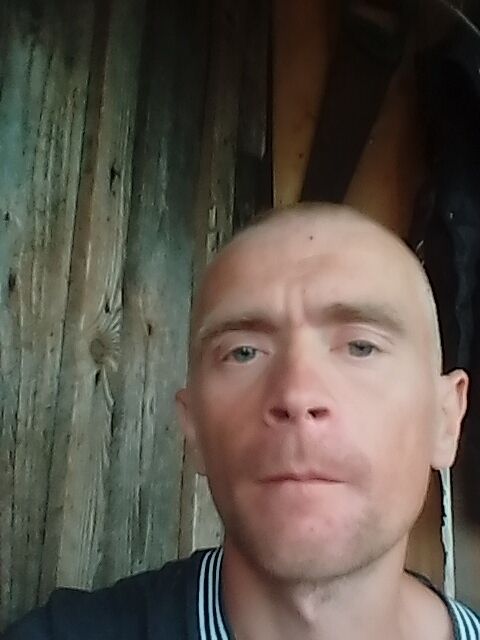  24336684  , 42 ,    
