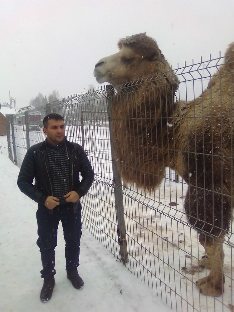 ���� 11106774 ������� ������, 43 ����, ���� ���������� � ������