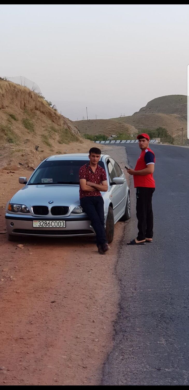 ���������� ������, ���� ������� ������, 38 ���, ������������ ��� ������, ����� � ���������