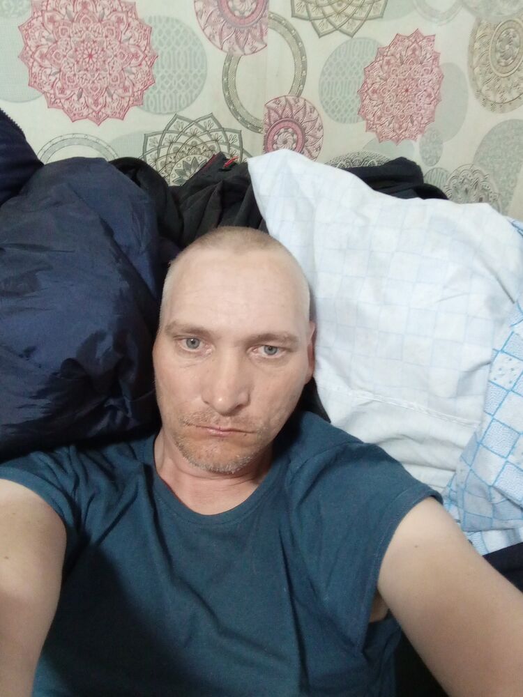  43295484  , 41 ,    