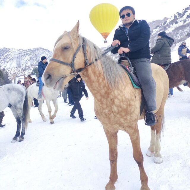 ���� 31956614 ������� ������, 36 ���, ���� ���������� � ��������