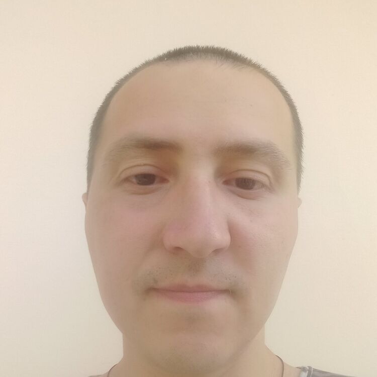  42841334   , 29 ,    