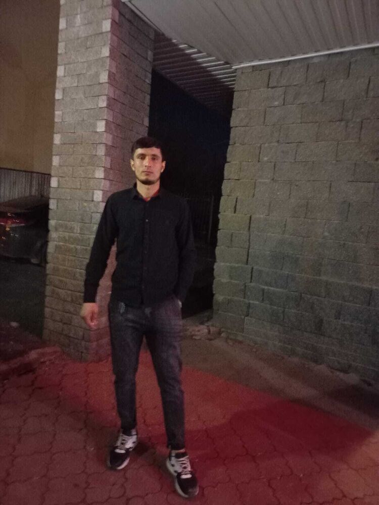  33027474  , 29 ,    