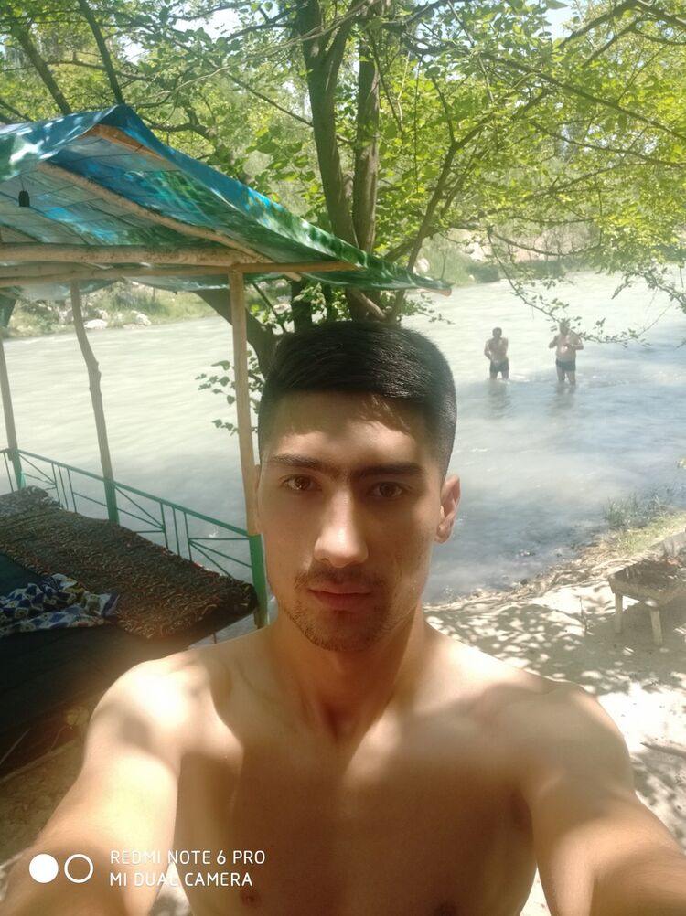  19405154  , 31 ,    