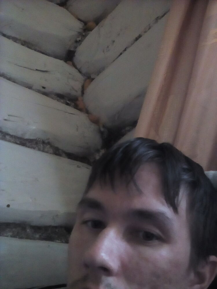 ���� 19730454 ������� ���������, 31 ���, ���� ���������� � ���