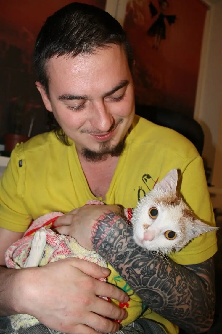 ���������� ������, ���� ������� ���������, 45 ���, ������������ ��� ����� � ���������, c�������� ���������, ���������