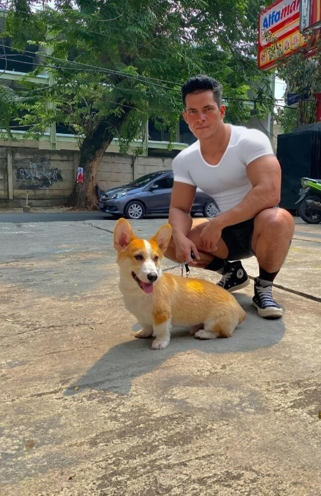 ���� 44702244 ������� �����, 41 ���, ���� ���������� � ������