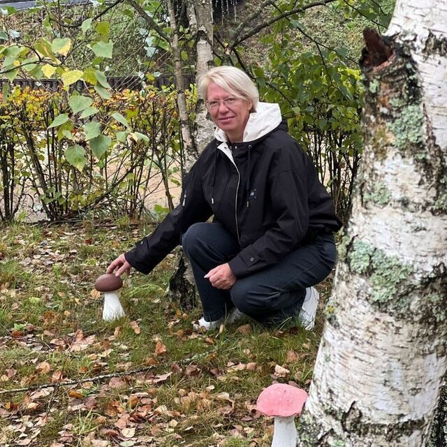 ���� 54931484 ������� ����, 48 ���, ���� ���������� � �������